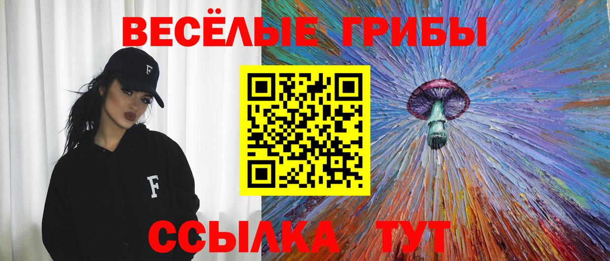 Волжский  Галлюциногенные грибы GOLDEN TEACHER  Вход с VPN 
