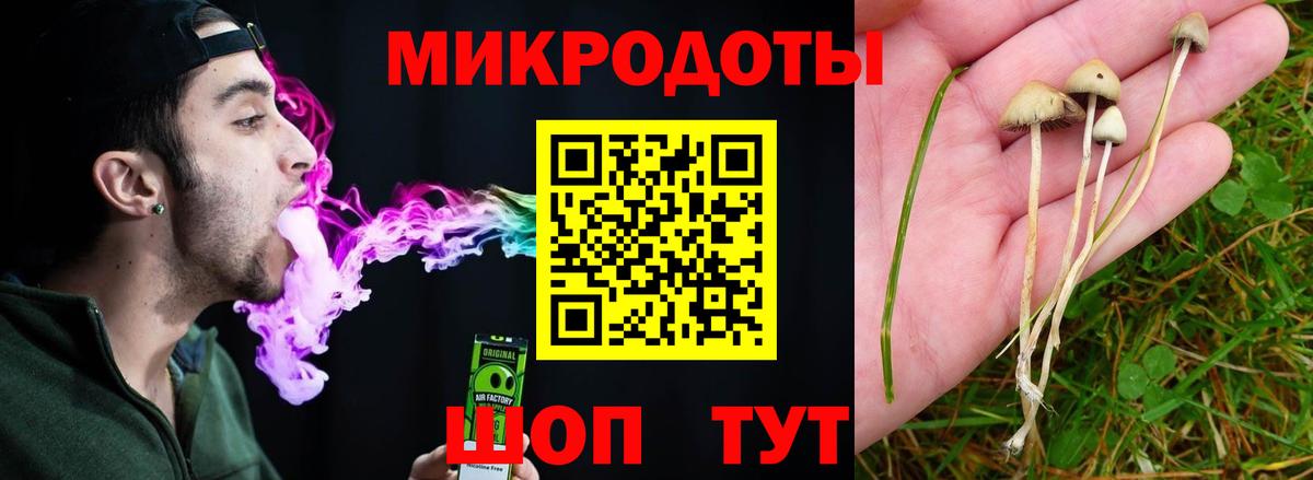 Галлюциногенные грибы Magic Shrooms Волжский